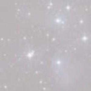 Meet your Posher, Yunmin